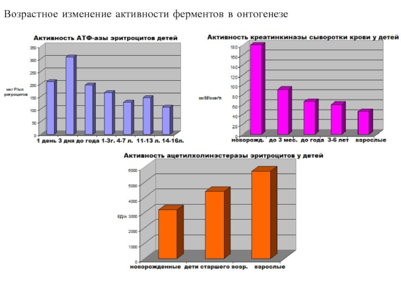 Изменение активности. Изменение активности ферментов в онтогенезе. Как изменяется активность пищеварительных ферментов в онтогенезе.