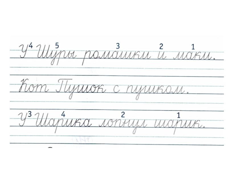 Прописи буква ш. Буква ш письменная пропись. Предложения с буквой ш. Письмо заглавной буквы ш. Заглавная буква ш пропись.