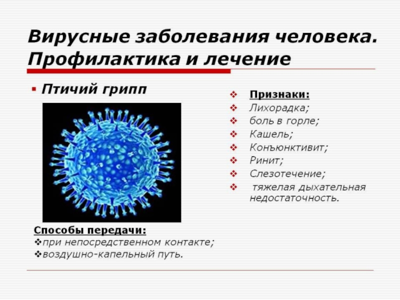 Неклеточная форма жизни 10 класс презентация 10 класс