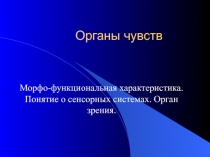 Органы чувств Зрение 