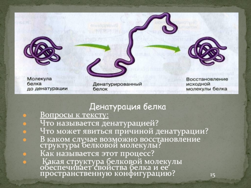 Как называется процесс разрушения белков. Денатурация белка. Структура белковой молекулы. Денатурация белковых молекул. Денатурация белковой молекулы это.