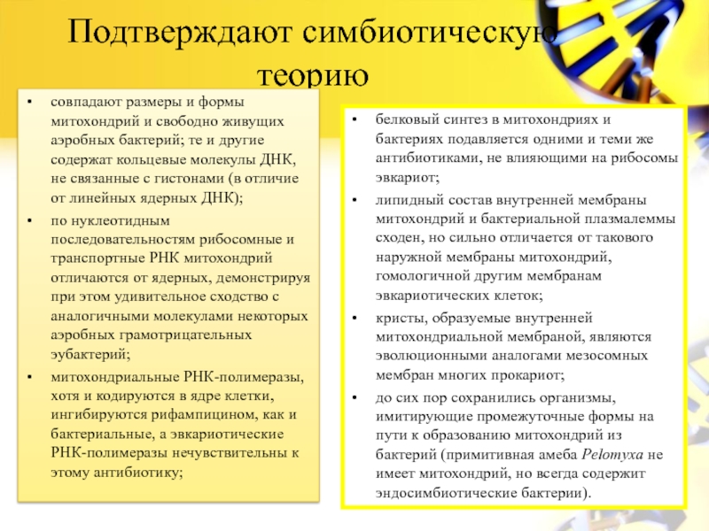 Министерство образования и науки
Российской Федерации
Санкт – Петербургский Подтверждают симбиотическую теориюбелковый синтез в митохондриях и бактериях подавляется одними и Подтверждают симбиотическую теориюбелковый синтез в митохондриях и бактериях подавляется одними и теми же антибиотиками, не влияющими на