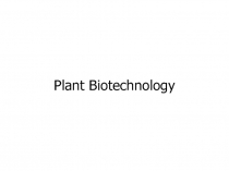 Plant biotechnology