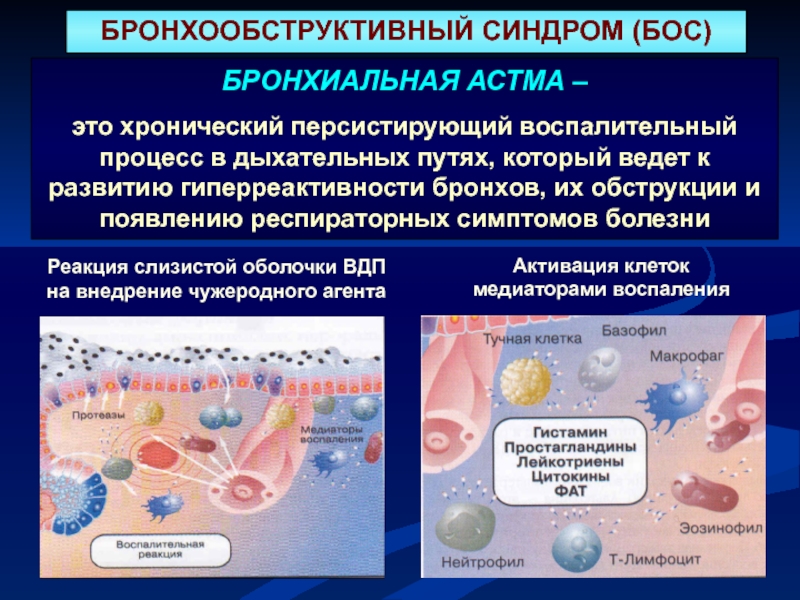 Бронхиальная астма пропедевтика внутренних болезней презентация