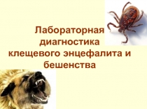 Лабораторная диагностика клещевого энцефалита и бешенства 