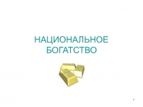 НАЦИОНАЛЬНОЕ БОГАТСТВО
