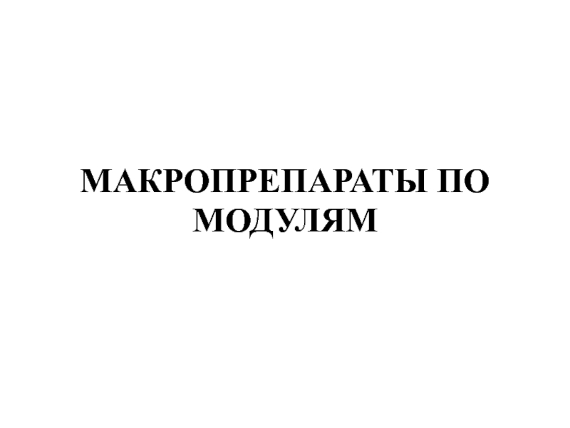 МАКРОПРЕПАРАТЫ ПО МОДУЛЯМ