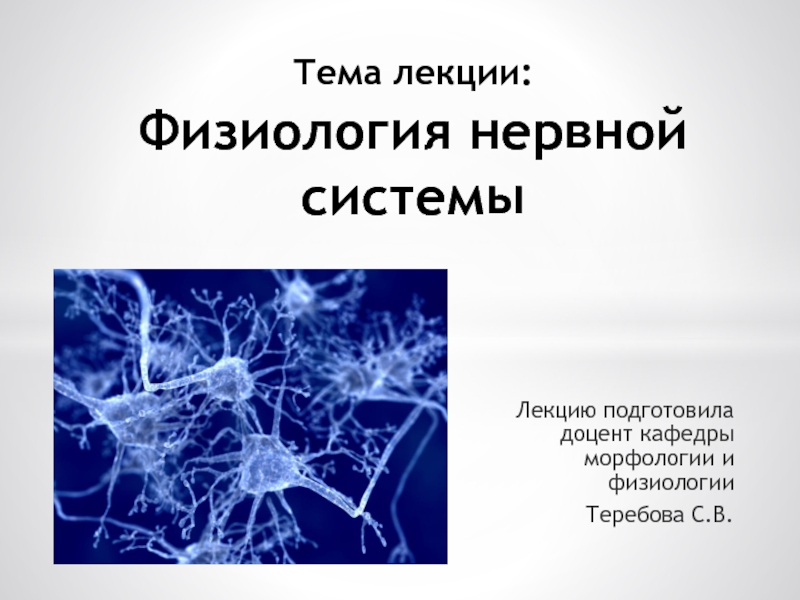 Тема лекции: Физиология нервной системы