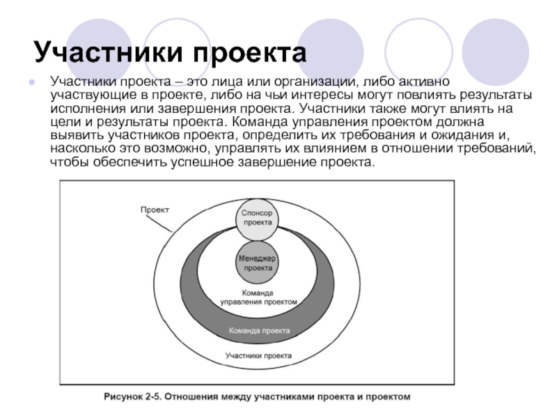 Участники проекта это лица