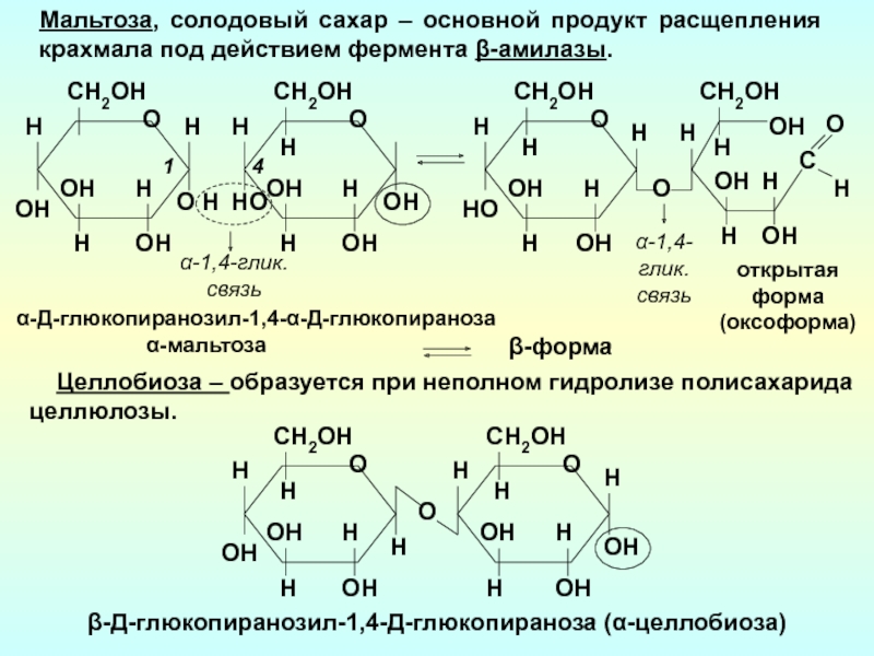 Ферменты горячая схема осахаривания