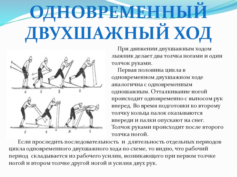 Два толчка. Одновременный двухшажный ход. Цикл движений одновременного двухшажного хода. Двухшажный лыжный шаг. Одновременный двухшажный ход на лыжах.