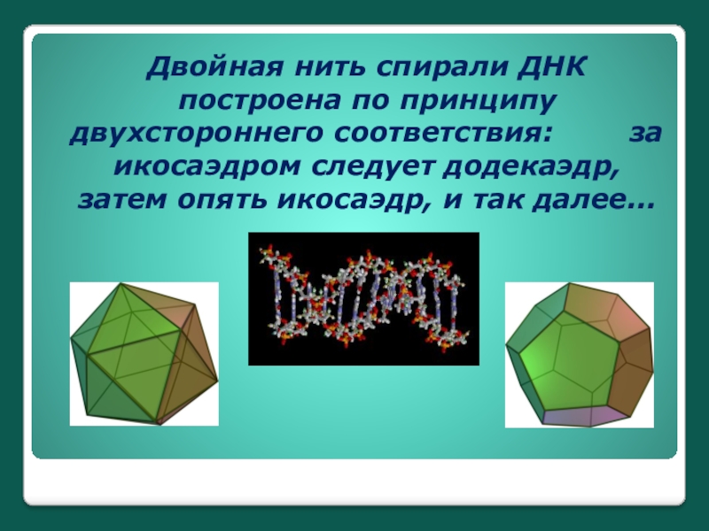 Многогранники картинки для презентации