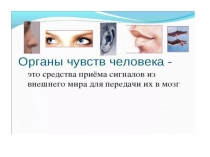 зрительный анализатор