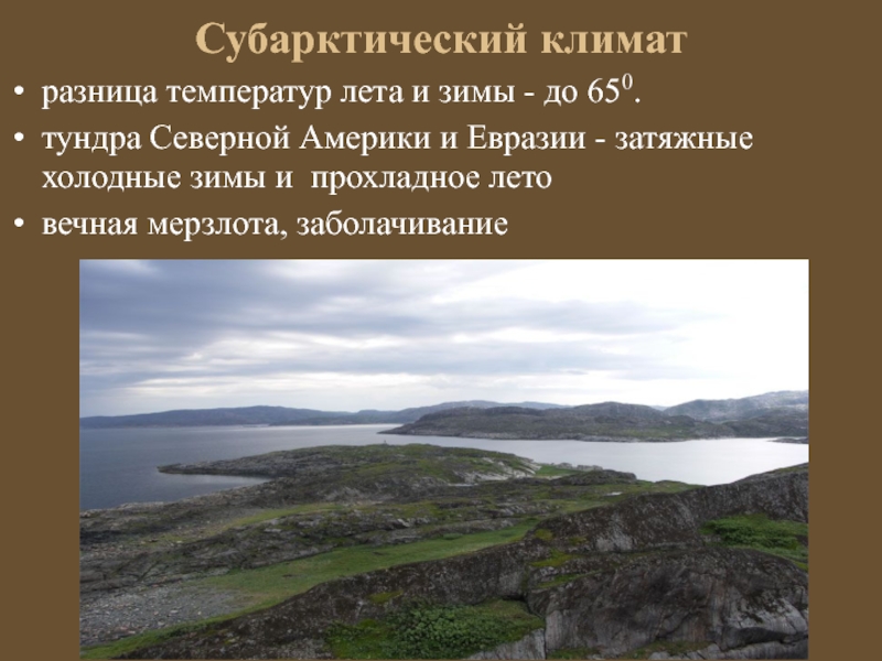 В субарктическом климате расположена. Субарктический климат. Субарктический климат температура зимой и летом. Субарктический климат лето. Территория субарктического климата.