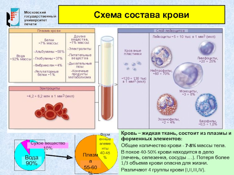 Схема состав крови 7 класс биология