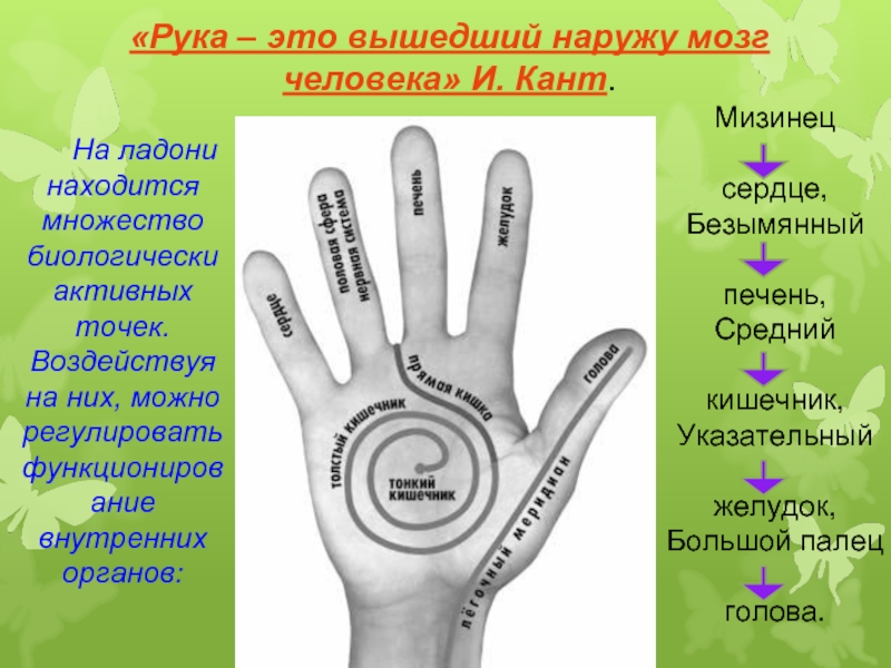 Правый пальчик. Название пальцев. Пальцы рук название каждого. Какой Полац за какой органотвечает. Название пальцев на руке человека.