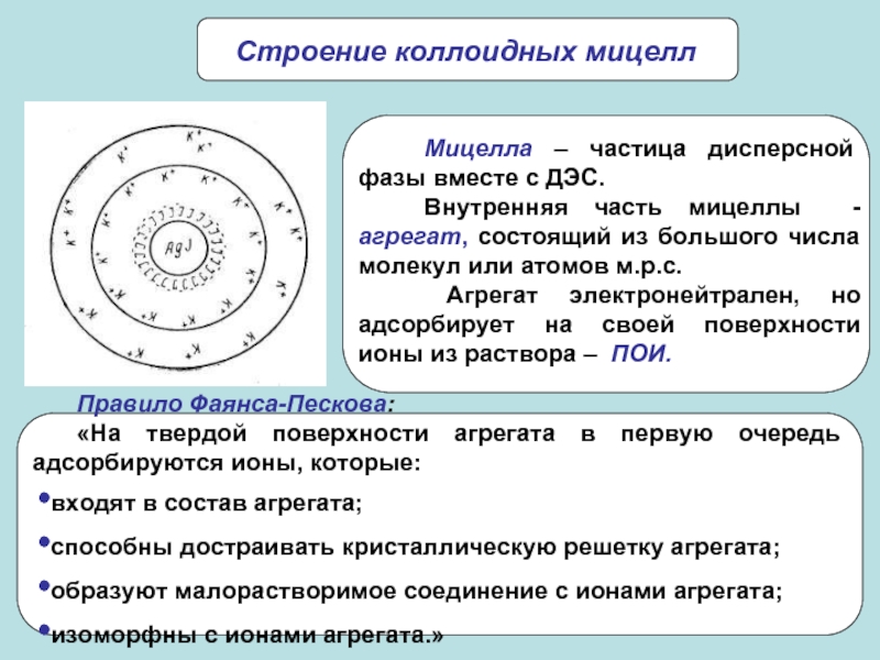 Схема строения коллоидной частицы