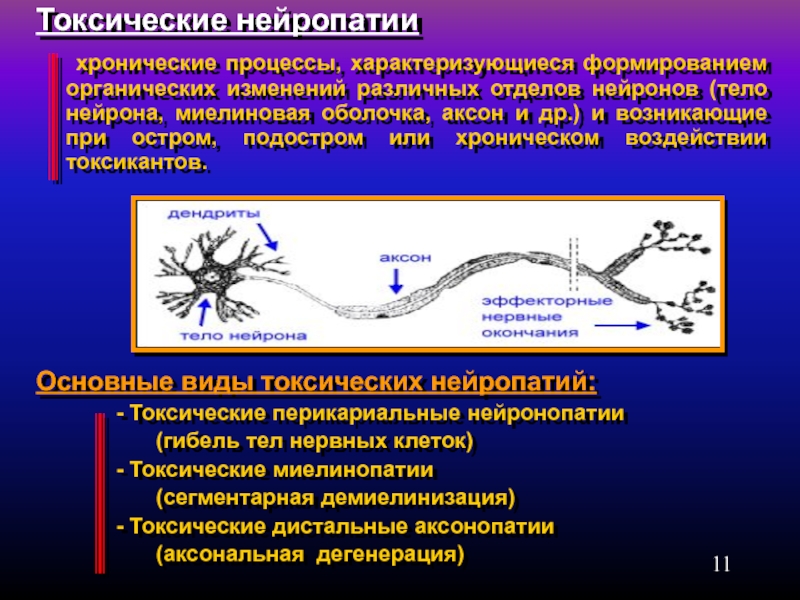 Демиелинизирующая полинейропатия нижних конечностей. Миелиновая оболочка нейрона. Аксональные и Демиелинизирующие полинейропатии. Процессы транспорта в нейроне. Аксональный Тип поражения нервов.