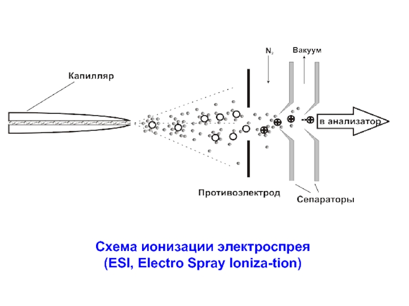 Масс спектрометрия схема