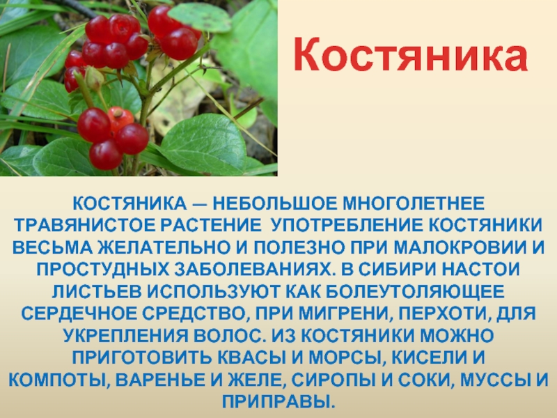 Картинка ягода костяника