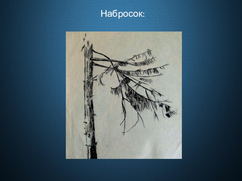 Наброски презентация. Картинка Графика для презентации. Слова зарисовка. Слова наброска песни. Наброски слов.