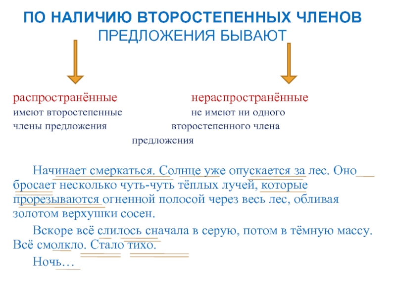 По наличию второстепенных членов распространенные