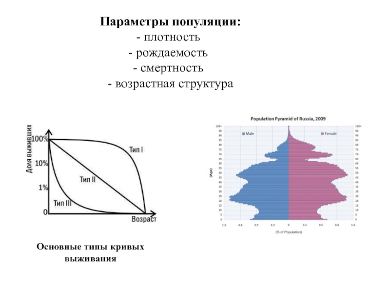 Основные параметры популяции