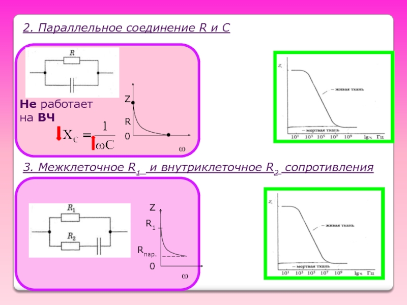 Эквивалентная схема живой ткани смешанное соединение активного и емкостного элементов