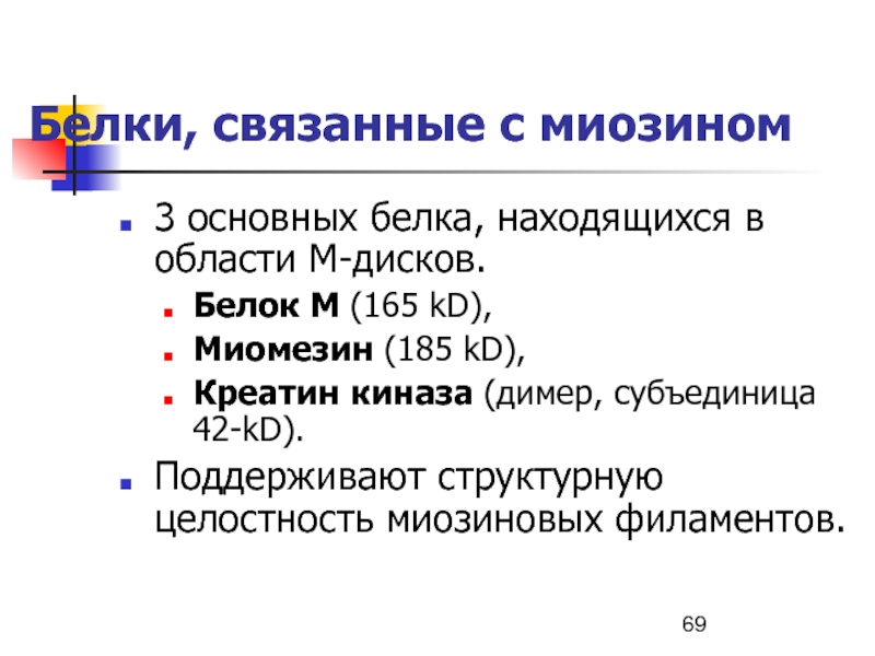 М белок. М И S белок. Миомезин креатинфосфокиназа. Значение Миомезин белок.