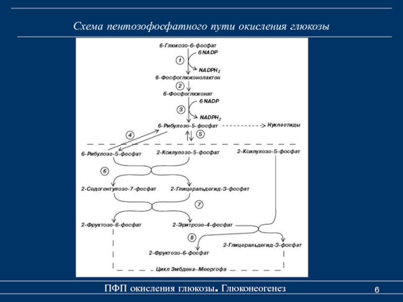 Схема отражающая процесс окисления