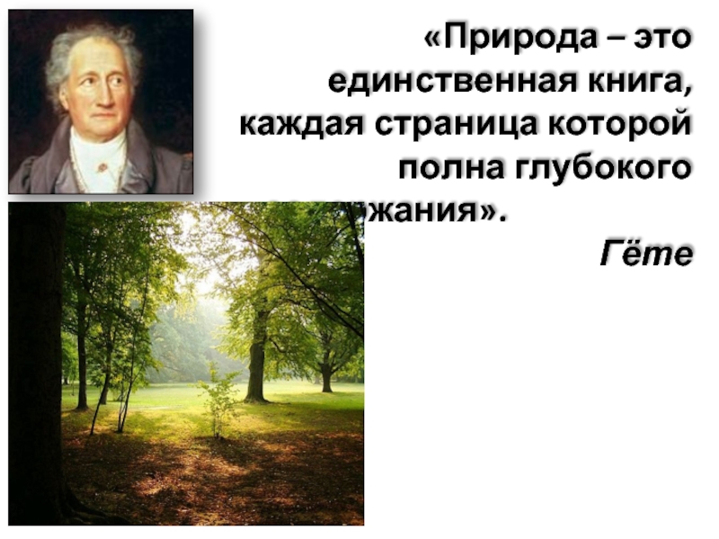 Природа единственная. Природа единственная книга. Природа это единственная. Гёте природа. И В гёте природа это единственная книга.