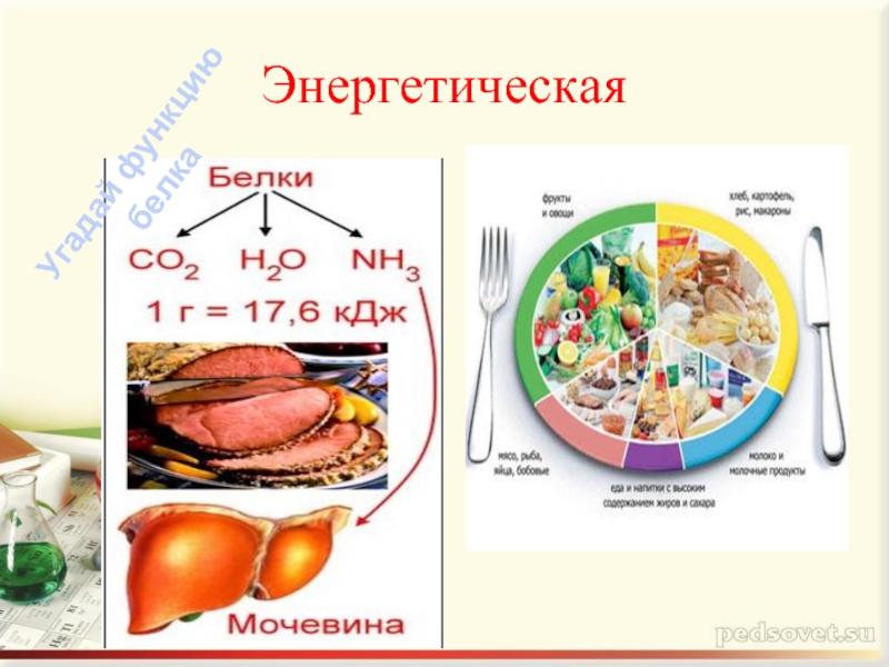 Энергетическая функция белков презентация