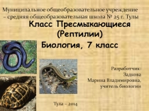 Общая характеристика класса Пресмыкающиеся. Особенности внешнего и внутреннего строения.