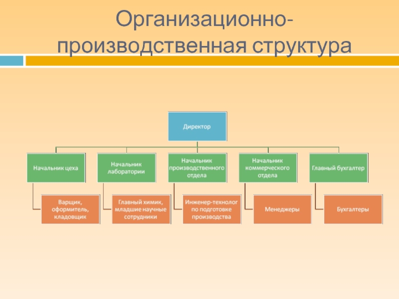 Организационные компании. Организационно-производственная структура. Организационно-производственная структура предприятия. Организационная и производственная структура. Организационная структура производственного предприятия.