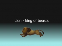 Lion - king of beasts