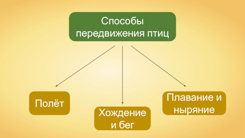 Презентация способы передвижения животных полости тела 7 класс