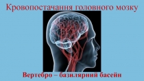 Кровопостачання головного мозку