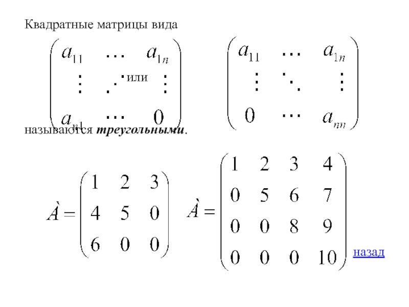 Квадратная матрица. Общий вид квадратной матрицы. Квадратичная матрица. Матрица в квадрате.