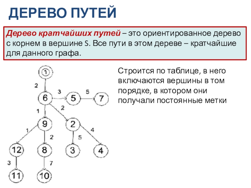 Дерево путей. Дерево кратчайших путей. Ориентированное дерево. Алгоритм поиска кратчайшего маршрута.