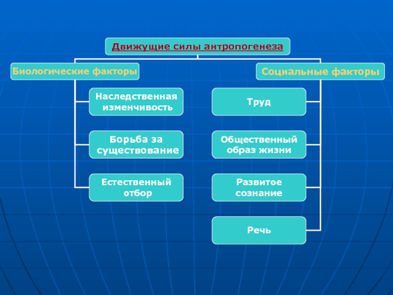 Движущие силы антропогенеза схема