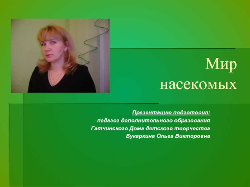 Презентация Мир насекомых