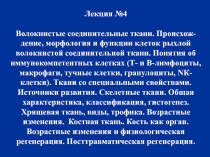 Лекция №4 Волокнистые соединительные ткани. Происхож-дение, морфология и