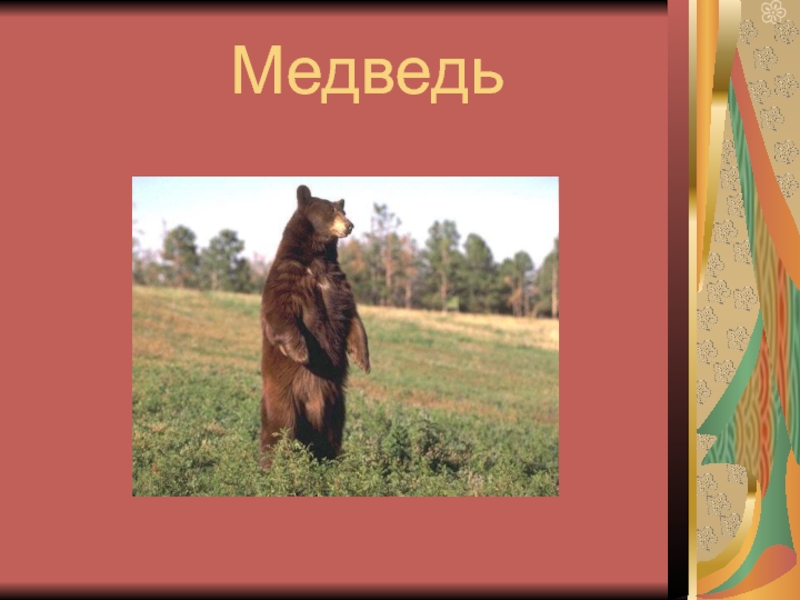 Медвежья загадка. Загадка про медведя. Загадка про медведя для детей 3-4. Загадка про медведя с шашками.