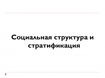 Социальная структура и стратификация
