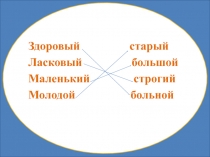 Презентация к уроку по русскому языку: Роль прилагательных-антонимов в речи.