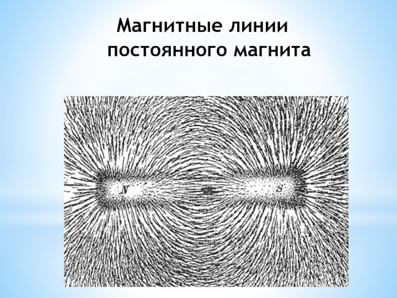 На рисунке представлен картинки линий магнитного поля от двух полосовых магнитов