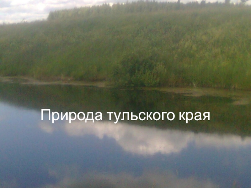 Природа Тульского края