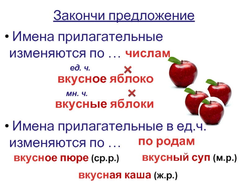 Род и число прилагательных. Имена прилагательные изменяются по. Закончить предложение имена прилагательные изменяются по. Имя прилагательное изменяется по. Прилагательные в единственном числе изменяются по родам.