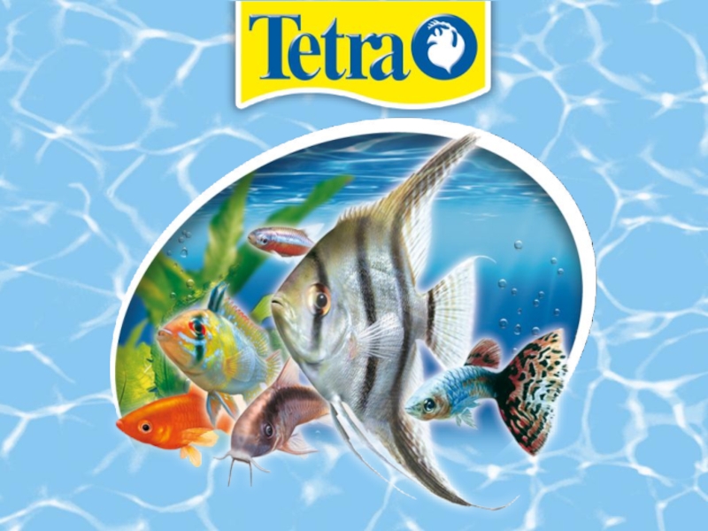 Внешние фильтры Tetra EX Plus 2014
