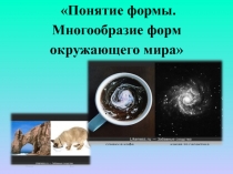 Понятие формы. Многообразие форм окружающего мира